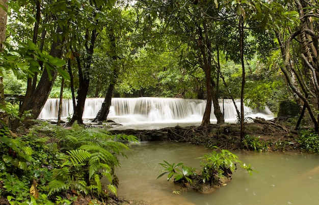 Gratis foto prachtig landschap van een krachtige waterval die stroomt in een rivier in een bos