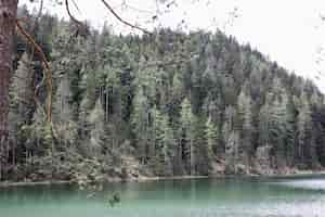 Gratis foto prachtig landschap van een meer omgeven door groene bomen