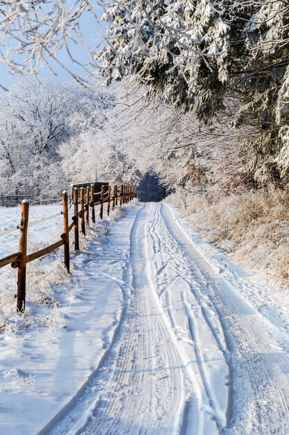 Prachtig landschap van een winterlandschap met een houten hek en dikke bomen