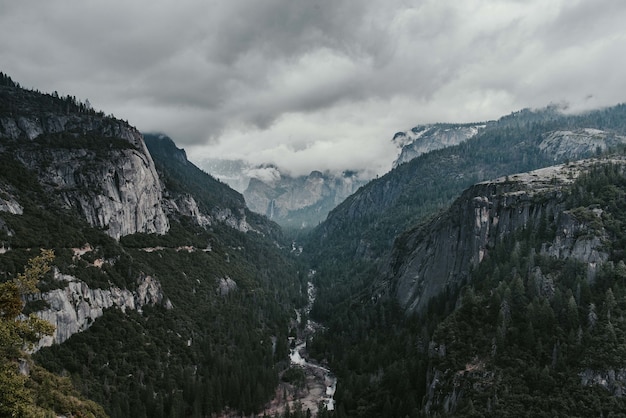 Gratis foto prachtig landschap van groene sparren omgeven door hoge rotsachtige bergen