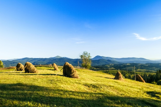 Gratis foto prachtig landschap van hooibergen in het veld