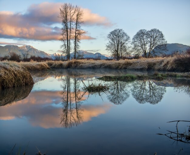 prachtig landschap van Jerry Sulina Park