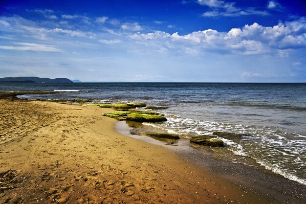 Prachtig landschap van zee kust met veel rotsen bedekt met mos