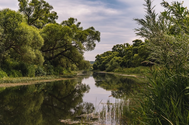 Gratis Foto prachtig landschap