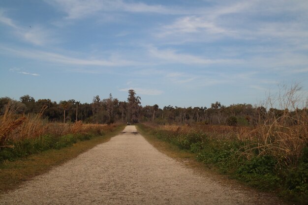 Prachtig landschap