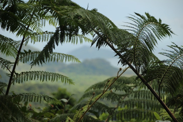 Gratis foto prachtig landschap