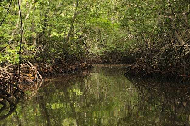 Prachtig landschap