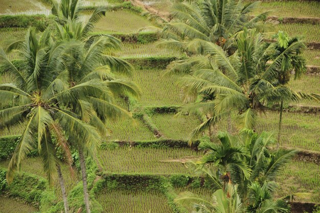 Prachtig landschap