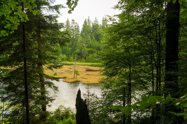 Gratis foto prachtig meer in de bergen