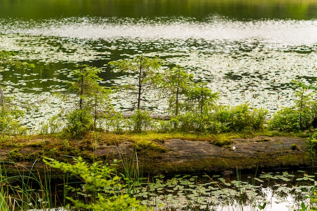 Gratis foto prachtig meer in de bergen