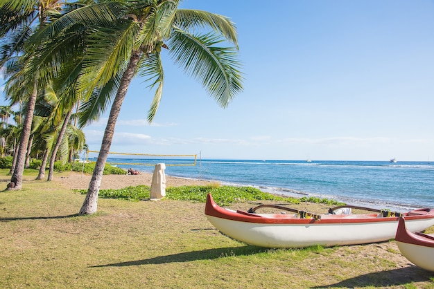 Gratis foto prachtig paradijselijk strand met een vissersboot en een klein stenen hoofd zoals op een paaseiland