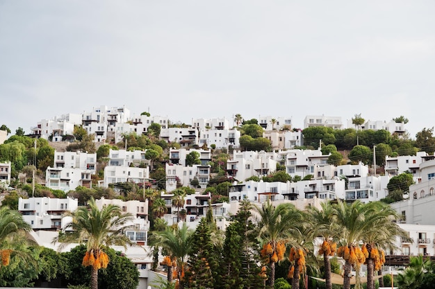 Prachtig schilderachtig landschap met kleine gebouwen op de berg met palmen Exotisch landschapsresort Populaire bezienswaardigheid beroemde bestemming van Bodrum, Turkije