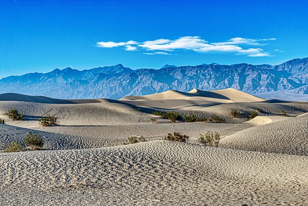 Prachtig schot van Mesquite Flat Sand Dunes in Death Valley National Park in Californië, VS.