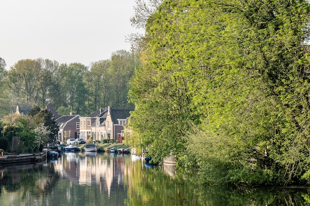 Gratis foto prachtig shot van een heldere rivier omringd door huizen en bomen