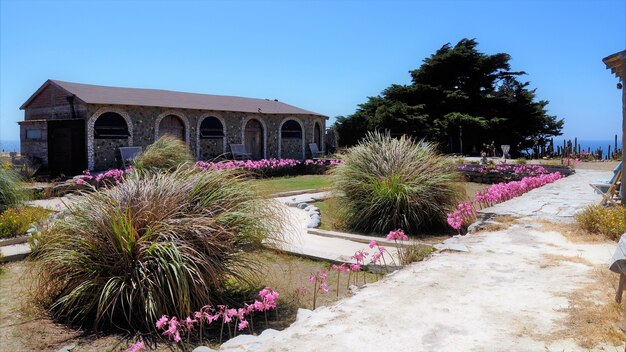 Prachtig shot van een stenen gebouw met een mooie tuin onder de blauwe lucht in Punta de Lobos, Chili