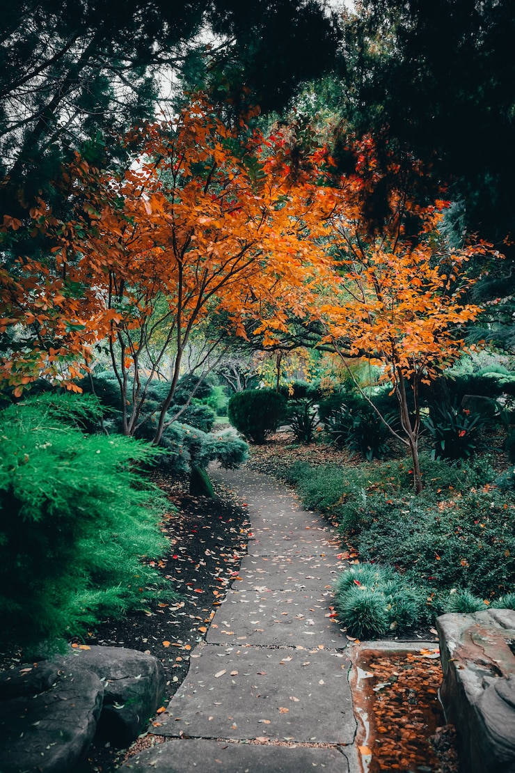 Gratis Foto prachtig uitzicht op de betoverende natuur in de traditionele japanse adelaide himeji gardens