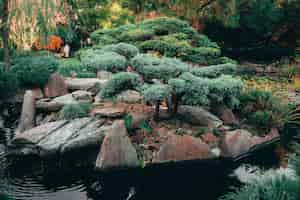 Gratis foto prachtig uitzicht op de betoverende natuur in de traditionele japanse adelaide himeji gardens