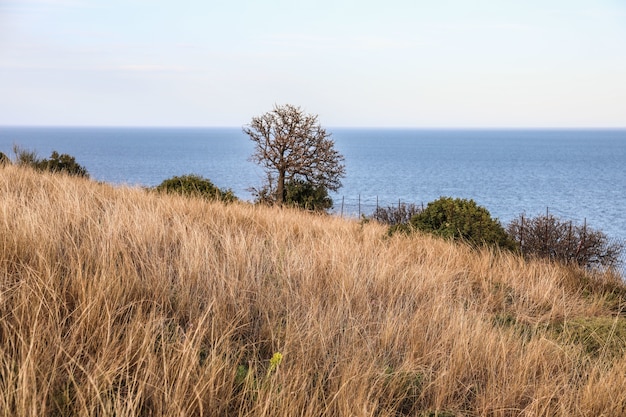 Prachtig uitzicht op de blauwe zee vanaf de kust bij het eiland Skiathos in Griekenland