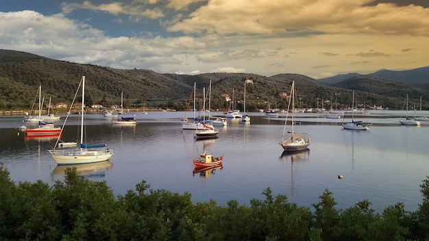 Gratis foto prachtig uitzicht op de boten op een meer omgeven door bergen bedekt met bomen