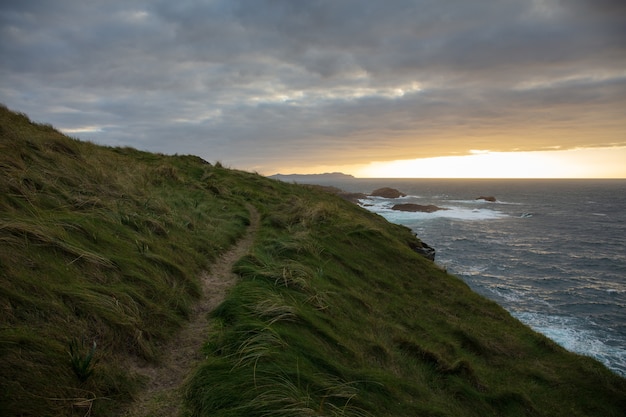 Gratis foto prachtig uitzicht op de kust van valdovino bedekt met het gras op een bewolkte dag in galicië, spanje