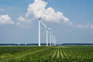 Gratis foto prachtig uitzicht op de windturbines op een gras bedekt veld gevangen in holland