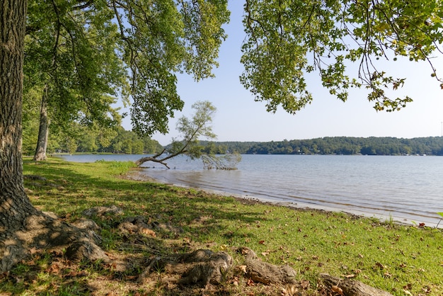 Prachtig uitzicht op een meer in Arkansas, USA