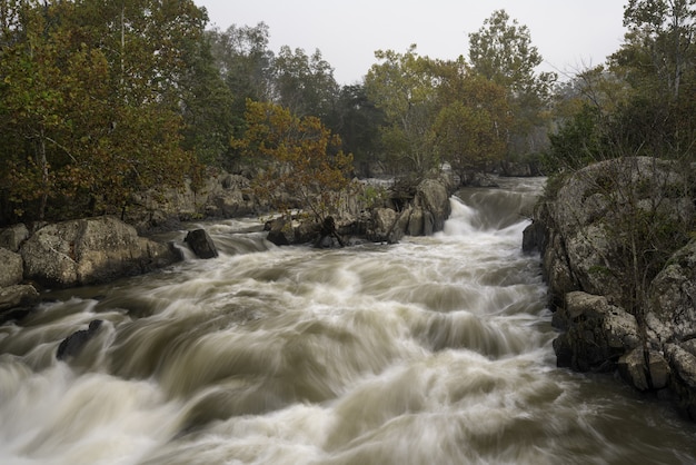 Gratis foto prachtig uitzicht op een modderige rivier die wild tussen de stenen en bomen doorgaat