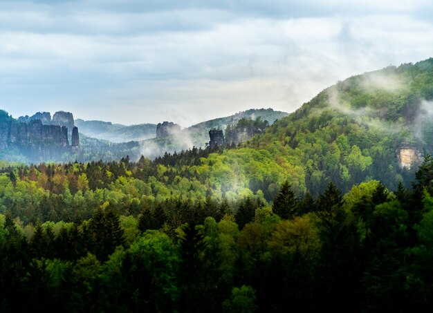 Prachtig uitzicht op het landschap van Boheems Zwitserland in Tsjechië met bomen