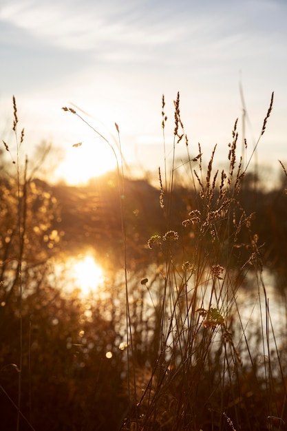 Gratis foto prachtig uitzicht op ochtendlicht