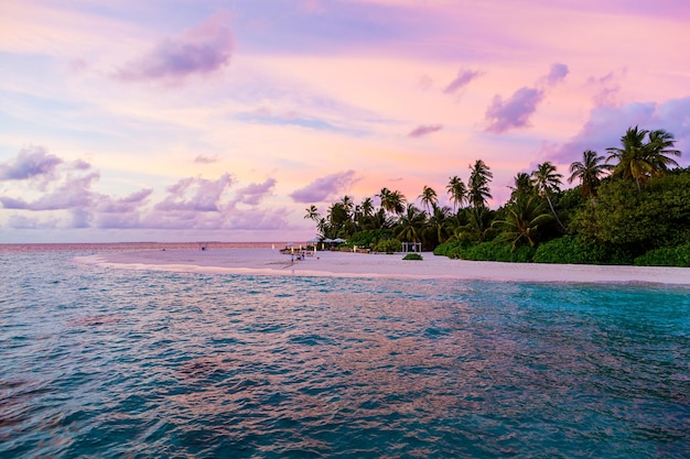 Prachtig uitzicht op palmbomen die groeien op het strand van een resort aan de oceaan