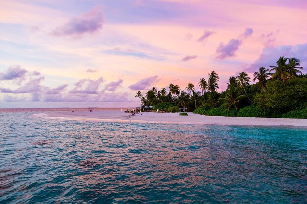 Prachtig uitzicht op palmbomen die groeien op het strand van een resort aan de oceaan