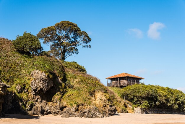 Prachtig uitzicht van een oud huis vlakbij het strand omgeven door bomen en gras onder een blauwe lucht