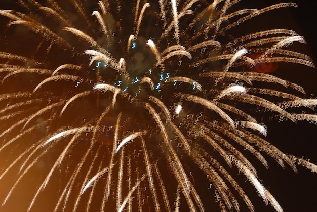 Prachtig vuurwerk op zwarte lucht kleurrijk vuurwerk geweldig voor onafhankelijkheidsdag oudejaarsavond Premium Foto