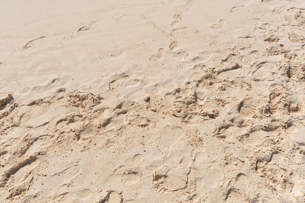 Prachtig zandstrand en voetafdrukken