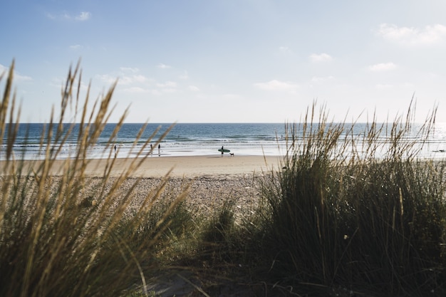 Gratis foto prachtig zeegezicht van de kalme zee en de grote kust in de avond