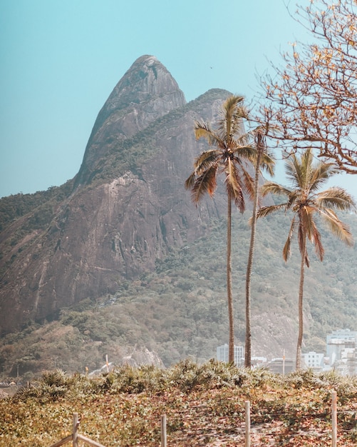 Gratis foto prachtige bergen en bomen vastgelegd in het strand van copacabana, rio de janeiro