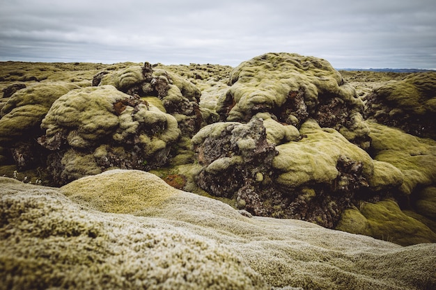 Prachtige groene heuvels en velden van IJsland