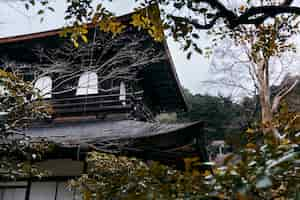 Gratis foto prachtige japanse tuin