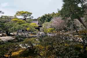 Gratis foto prachtige japanse tuin