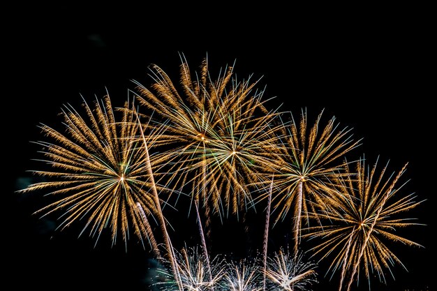Prachtige kleurrijke vuurwerkvertoning 's nachts voor vieren
