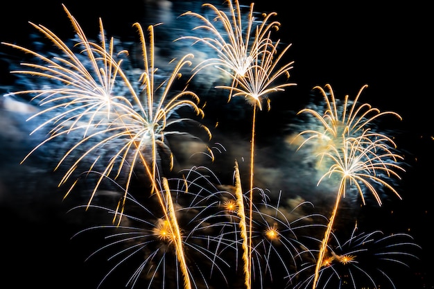 Gratis foto prachtige kleurrijke vuurwerkvertoning 's nachts voor vieren
