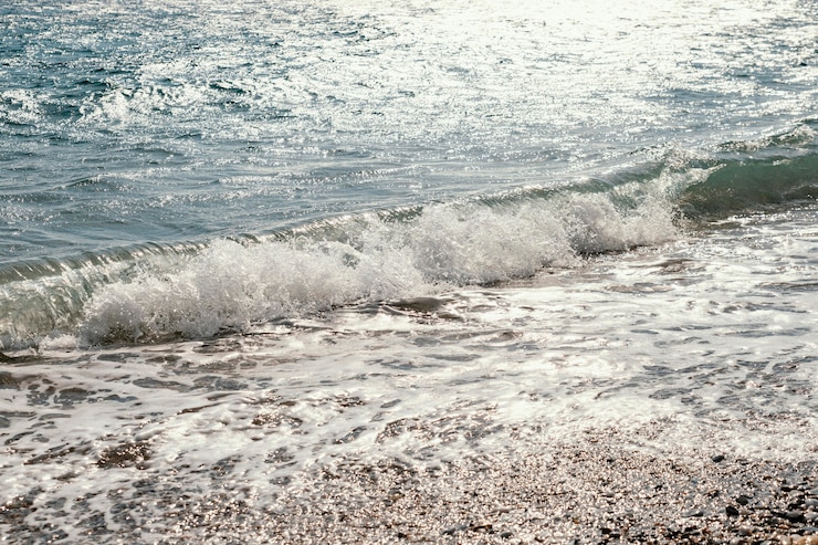 Gratis Foto prachtige natuurlijke rijkdommen van de zee