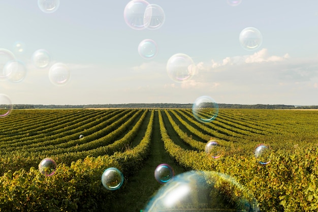 Gratis foto prachtige planten landschap en zeepbellen