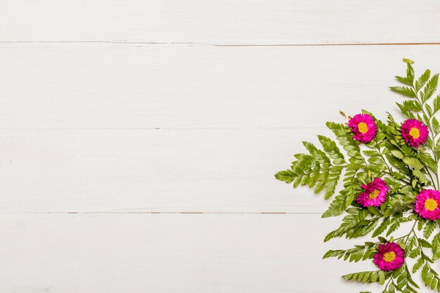 Prachtige roze bloemen en groene bladeren op wit oppervlak