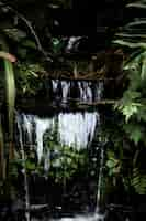 Gratis foto prachtige tropische waterval