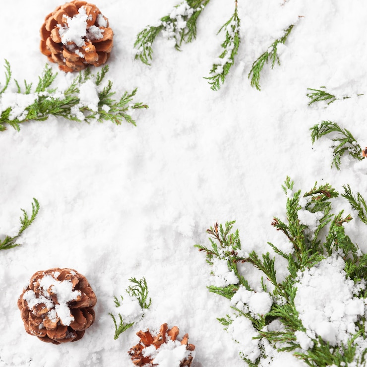 Gratis Foto prachtige winter concept met kopie ruimte