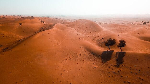 Prachtige woestijn met zandduinen op een zonnige dag