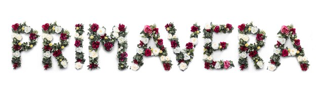 Primavera-woord van bloemen op wit wordt gemaakt dat