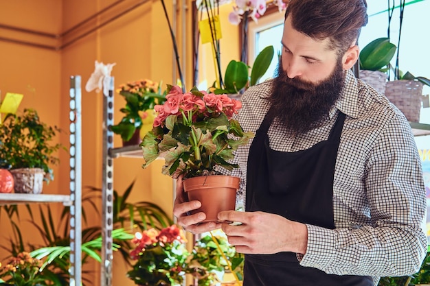 Professionele mannelijke bloemist met baard en tatoeage op zijn hand die uniform draagt, houdt de pot met een boeket bloemen in de bloemenwinkel.