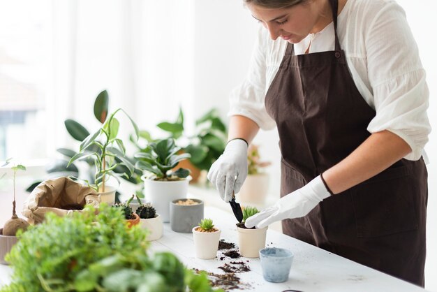 Professionele plantenkweker die een plant verpot